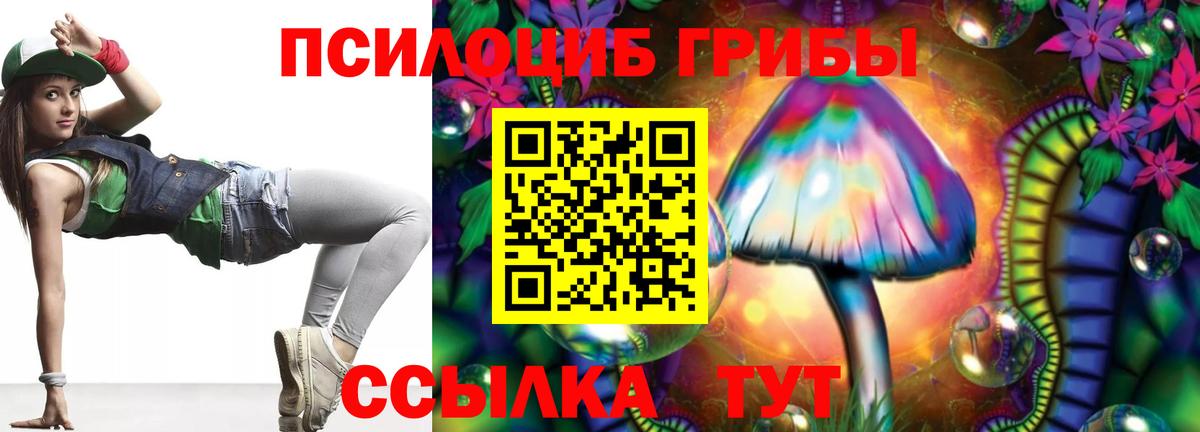 Чебоксары  Галлюциногенные грибы Magic Shrooms  Галлюциногенные грибы Magic Shrooms  Вход с VPN 